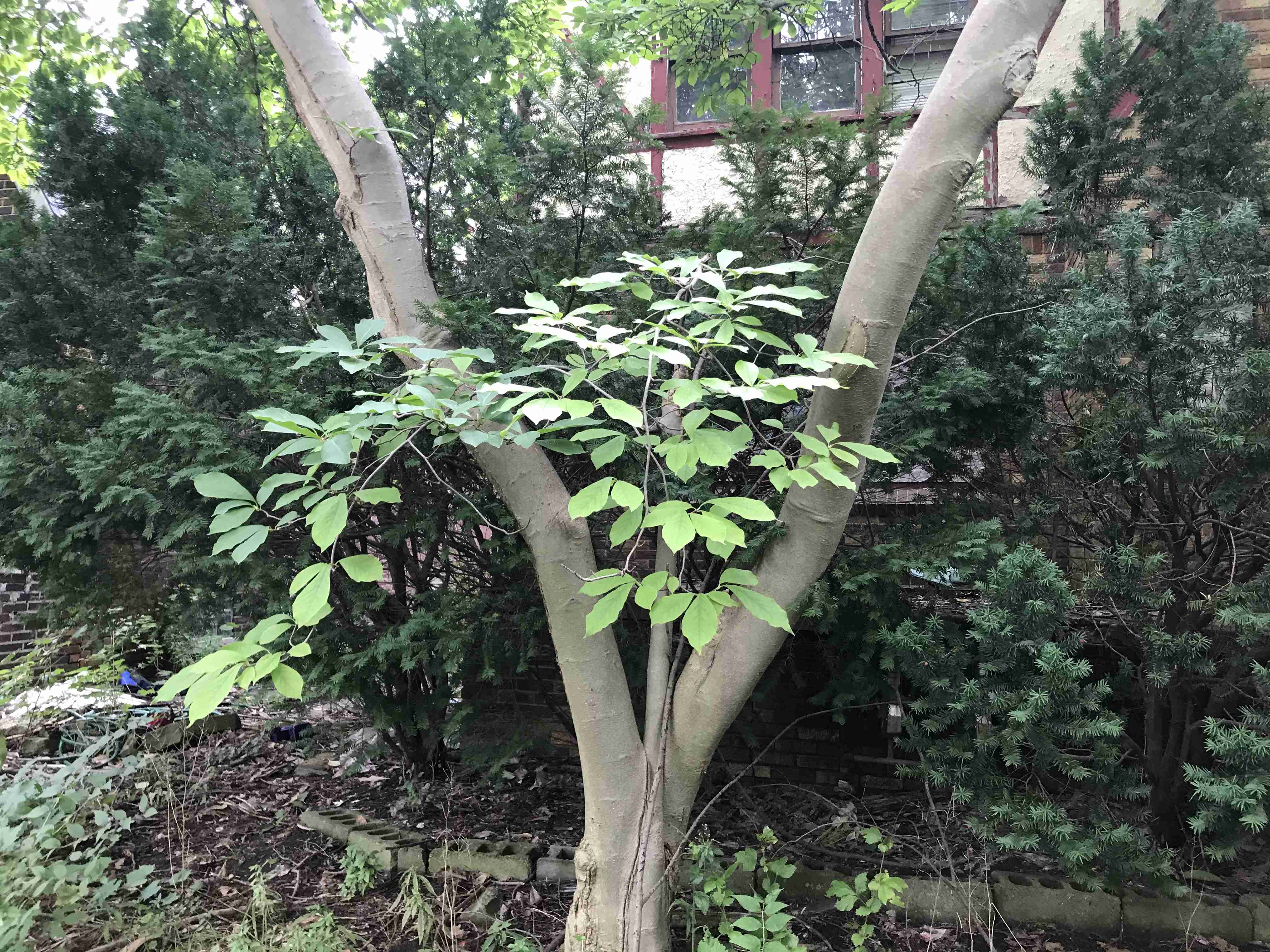 Photo Sep 10, 3 32 55 PM.jpg